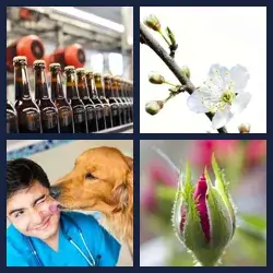 4 Pics 1 Word Level 301