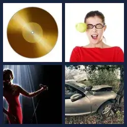 4 Pics 1 Word Level 303