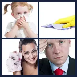 4 Pics 1 Word Level 306