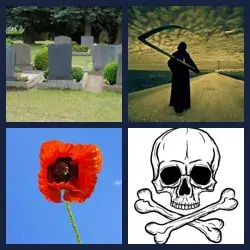 4 Pics 1 Word Level 314