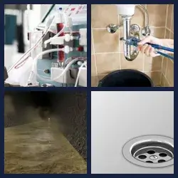 4 Pics 1 Word Level 318