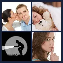 4 Pics 1 Word Level 339