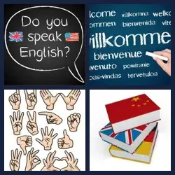 4 Pics 1 Word Level 345