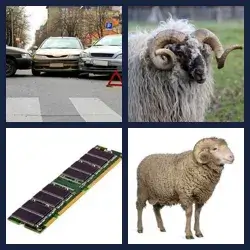 4 Pics 1 Word Level 346