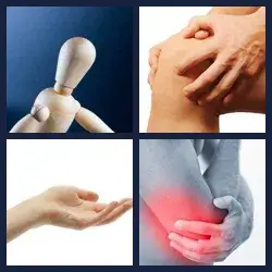 4 Pics 1 Word Level 354