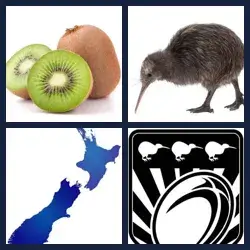 4 Pics 1 Word Level 360