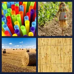 4 Pics 1 Word Level 369