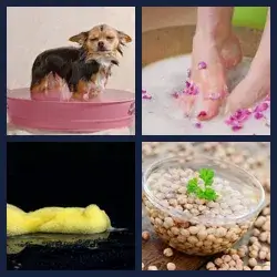 4 Pics 1 Word Level 372