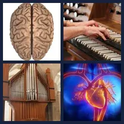 4 Pics 1 Word Level 379