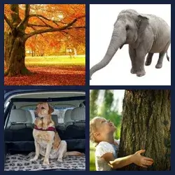 4 Pics 1 Word Level 387