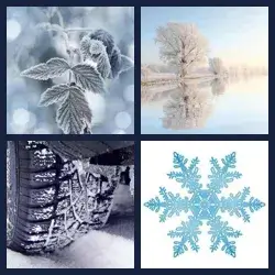 4 Pics 1 Word Level 396