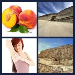 4 Pics 1 Word Level 429