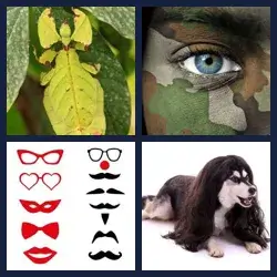 4 Pics 1 Word Level 430