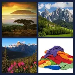 4 Pics 1 Word Level 431