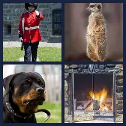 4 Pics 1 Word Level 449