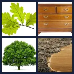 4 Pics 1 Word Level 450