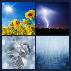 4 Pics 1 Word Level 457