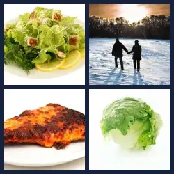 4 Pics 1 Word Level 463