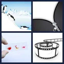 4 Pics 1 Word Level 482