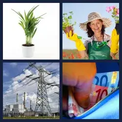 4 Pics 1 Word Level 483