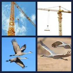 4 Pics 1 Word Level 518