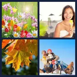 4 Pics 1 Word Level 525