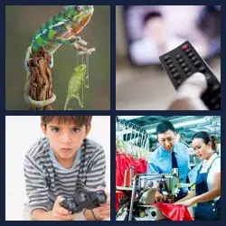 4 Pics 1 Word Level 552