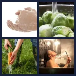 4 Pics 1 Word Level 555