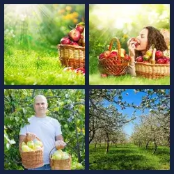 4 Pics 1 Word Level 573