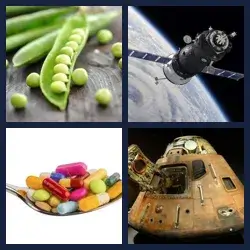 4 Pics 1 Word Level 608