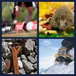 4 Pics 1 Word Level 615