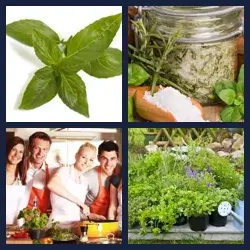 4 Pics 1 Word Level 635