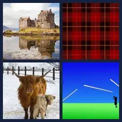 4 Pics 1 Word Level 645