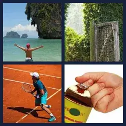 4 Pics 1 Word Level 652