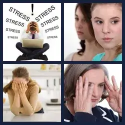 4 Pics 1 Word Level 658