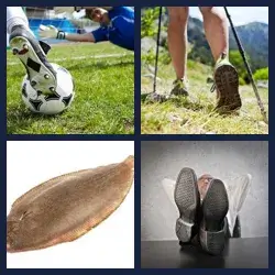 4 Pics 1 Word Level 662