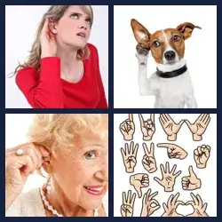 4 Pics 1 Word Level 686