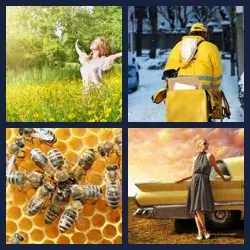 4 Pics 1 Word Level 69