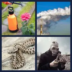 4 Pics 1 Word Level 690