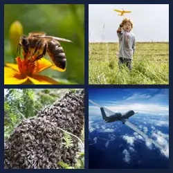 4 Pics 1 Word Level 691