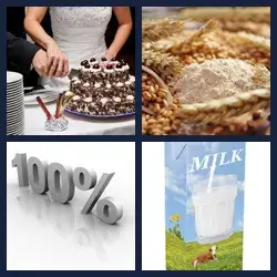 4 Pics 1 Word Level 719