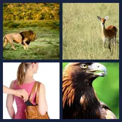 4 Pics 1 Word Level 727