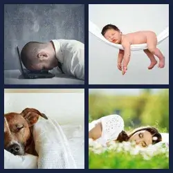 4 Pics 1 Word Level 75