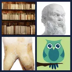 4 Pics 1 Word Level 752