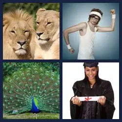 4 Pics 1 Word Level 762