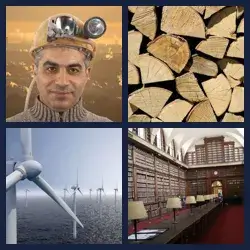 4 Pics 1 Word Level 765