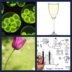 4 Pics 1 Word Level 775