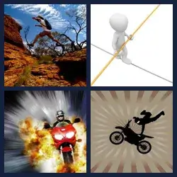 4 Pics 1 Word Level 781