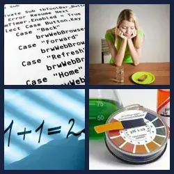 4 Pics 1 Word Level 795