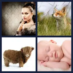 4 Pics 1 Word Level 798